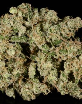 Ghost Train Haze